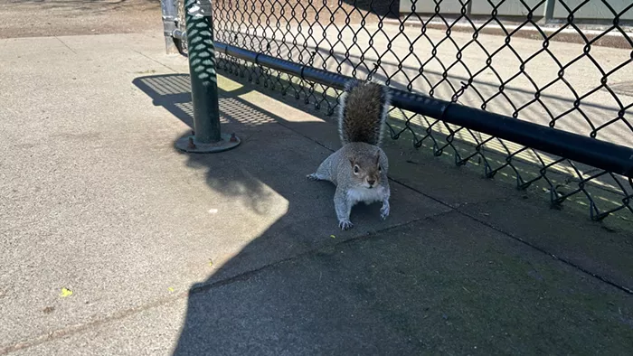 Slog AM: Our War With Iran Spirals, Clintons Questioned About Epstein, British Columbia Adopts Permanent Daylight Saving